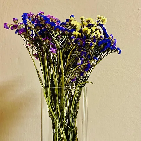 Midtown Cozy Apartamento *