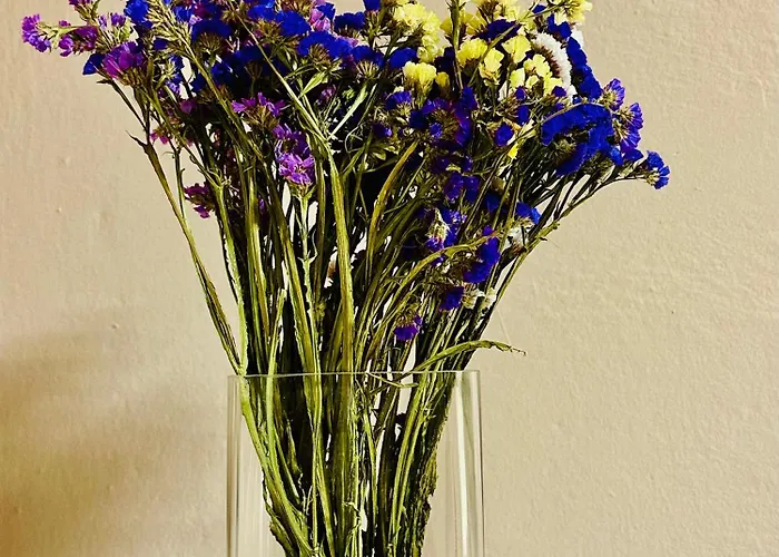 Midtown Cozy Apartmán *